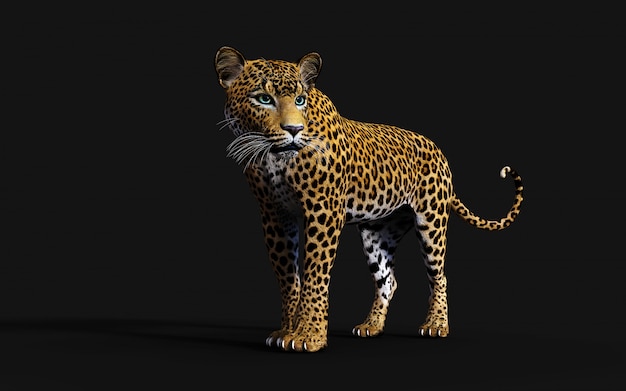 Ilustración 3D de leopardo aislado sobre fondo negro