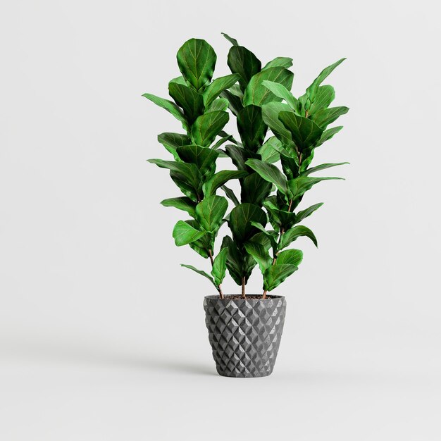 Ilustración 3d de macetas de plantas de interior aisladas sobre fondo blanco