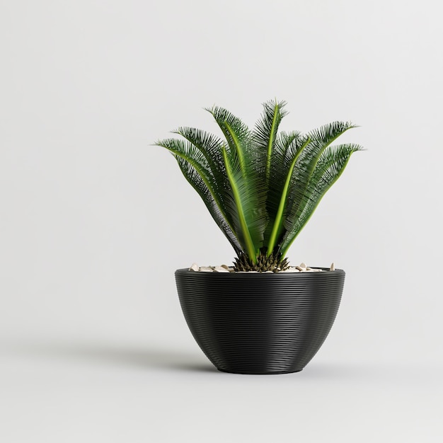 Foto ilustración 3d de planta en maceta negra aislada sobre fondo blanco