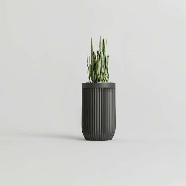 Ilustración 3d de plantas de interior negras aisladas sobre fondo blanco