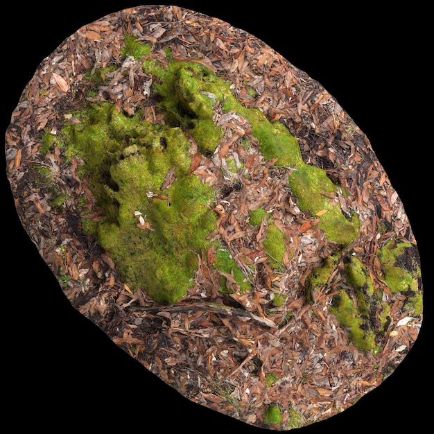 Ilustración en 3D de rocas cubiertas de musgo colocadas en hojas secas aisladas sobre un fondo negro