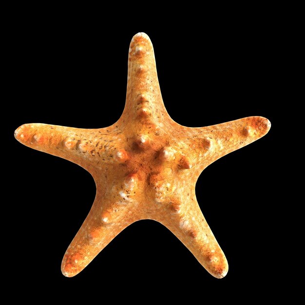 Foto ilustración 3d de starfish aislado sobre fondo negro