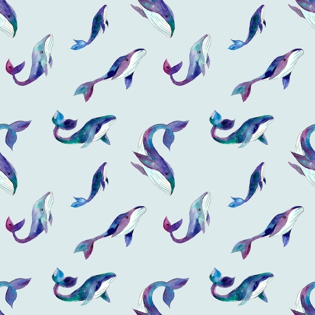 Una ilustración en acuarela de una ballena y la palabra delfín