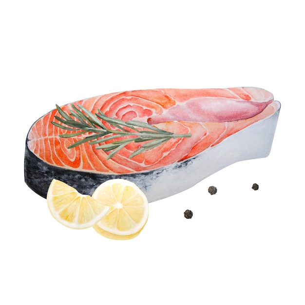 Ilustración acuarela de bistec de salmón crudo con limón y romero y granos de pimienta aislados en fondo blanco