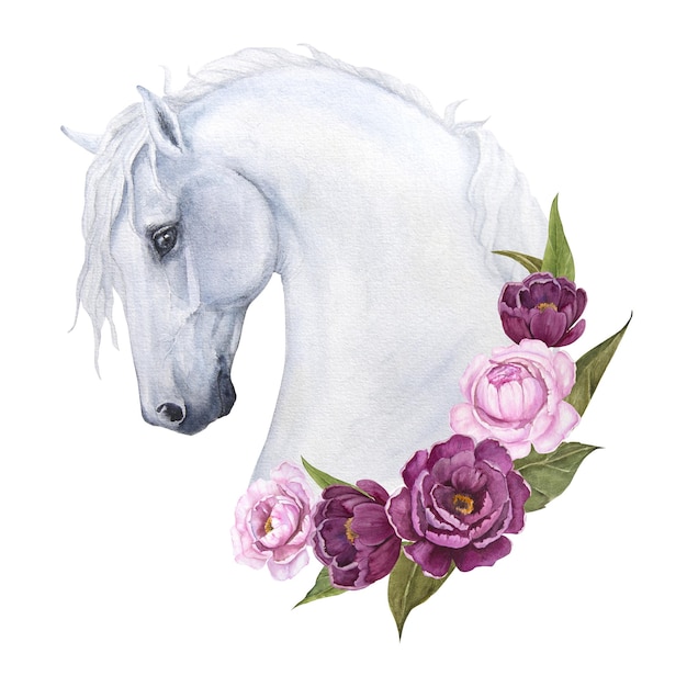 Ilustración acuarela de un caballo blanco con peonías delicadas aislar