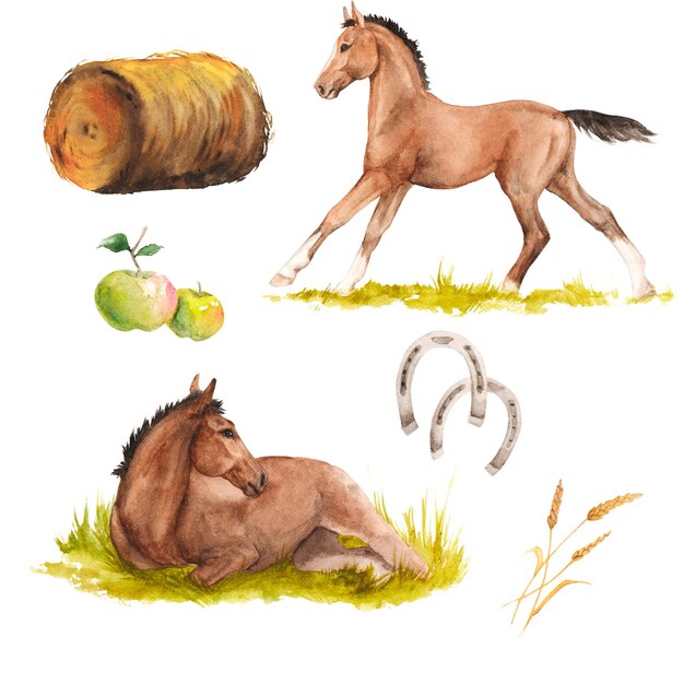Ilustración acuarela de caballos herraduras heno manzanas conjunto aislado