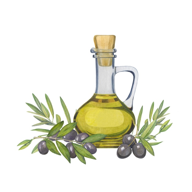 Ilustración acuarela de composición de botella de aceite de oliva ramas de olivo hecho a mano aislado