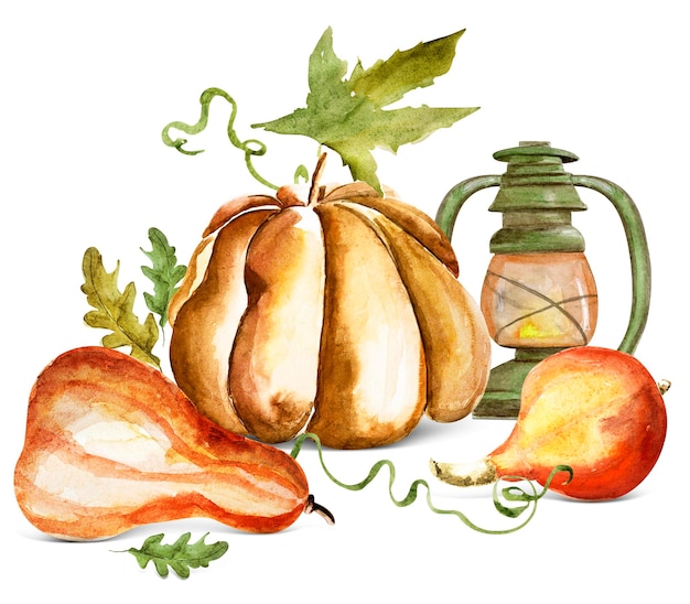 Ilustración de acuarela de composición de cosecha de calabaza de otoño