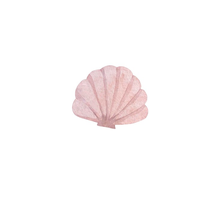 Ilustración en acuarela de una concha rosa sobre un fondo blanco
