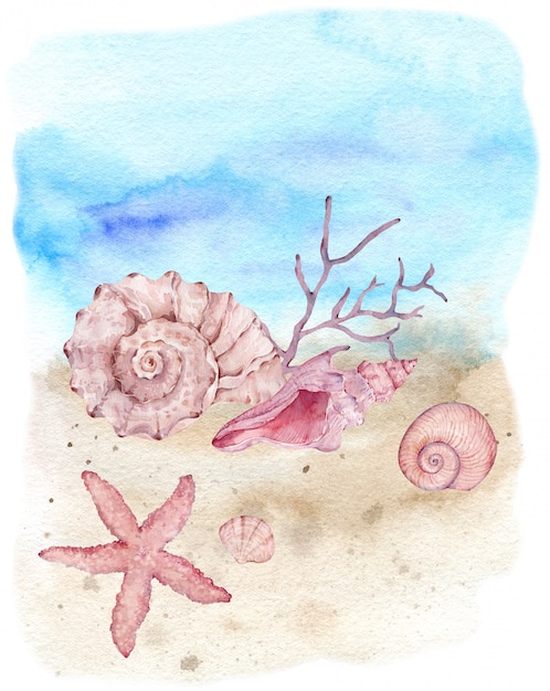 Ilustración acuarela de conchas submarinas, estrellas de mar y algas en la costa de la playa.