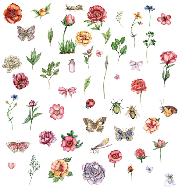 Ilustración en acuarela de un conjunto de flores elementos mariposa flores en flor dibujadas a mano