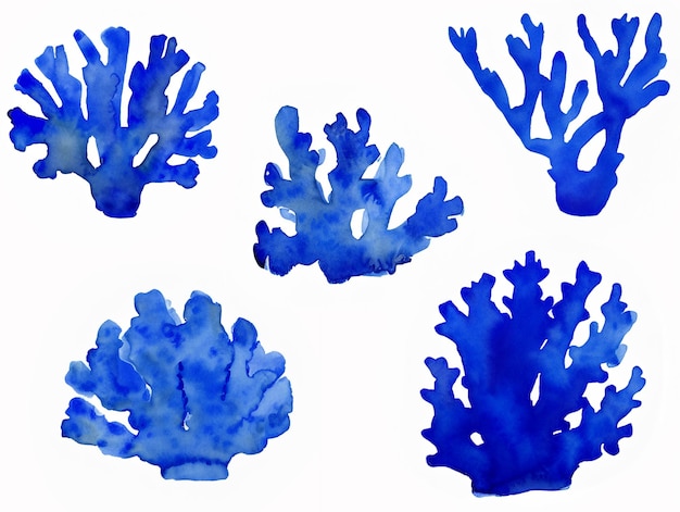 Ilustración acuarela de corales azules aislados sobre fondo blanco