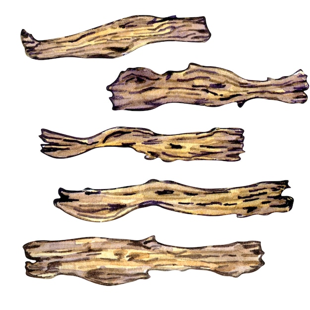 Ilustración de acuarela de corteza de árbol de cerca de madera vieja aislada sobre fondo blanco