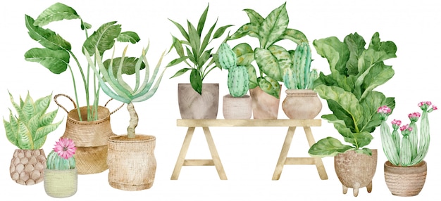 Ilustración acuarela de decoración del hogar con plantas en maceta