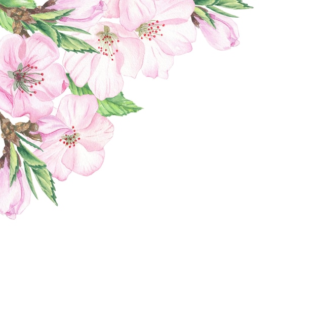 Ilustración acuarela dibujada a mano en estilo botánico Marco de flores de cerezo rosa capullos hojas