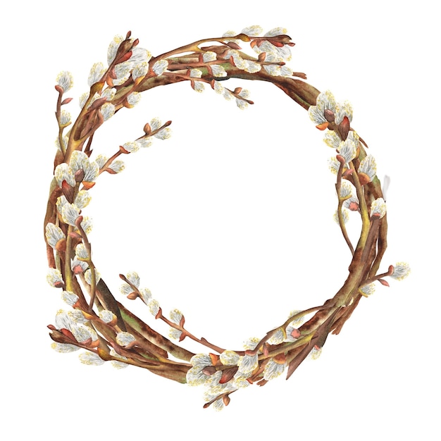 Ilustración de acuarela dibujada a mano hermosa corona de primavera con ramas de sauce