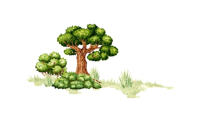 Ilustración en acuarela de un elemento natural del paisaje Escena de vida silvestre del bosque con hierba verde viejo roble y arbustos Para componer composiciones sobre el tema de los viajes de turismo forestal