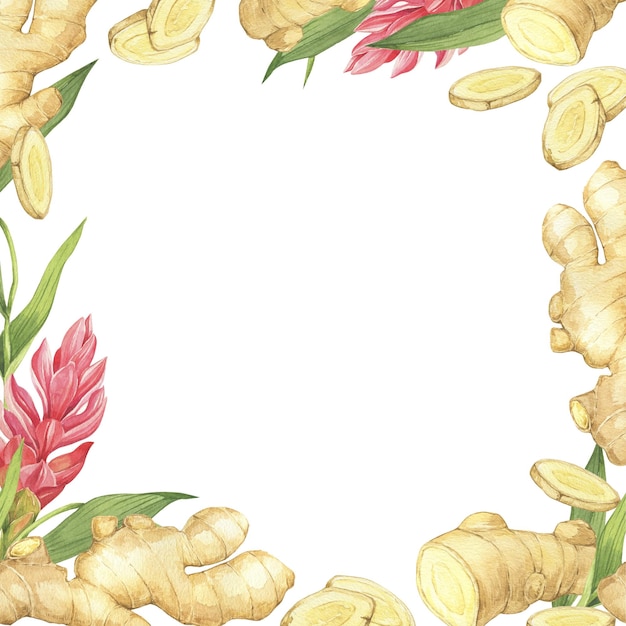 Ilustración en acuarela de la especia jengibre media hoja y limón Marco dibujado a mano Raíz de jengibre para diseño de alimentos Hierba y especia de cocina