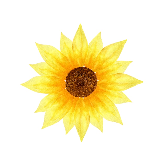 Ilustración en acuarela de un girasol