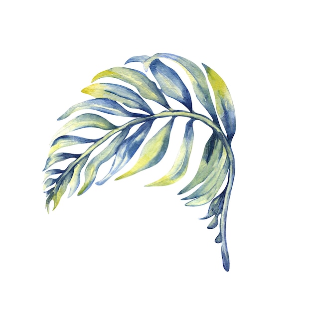 Ilustración de acuarela de hojas tropicales oscuras azul verde sobre blanco