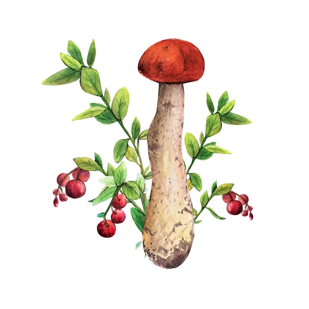 Ilustración acuarela de un hongo con una gorra roja en la naturaleza