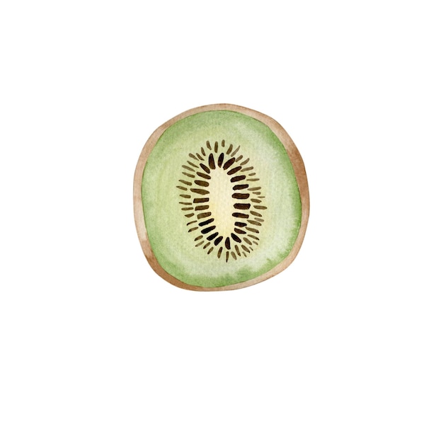 Ilustración acuarela de kiwi aislada sobre fondo blanco.