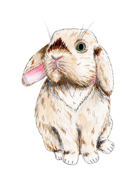 Ilustración de acuarela de un lindo conejo beige esponjoso dibujo de pascua de una imagen de mascota agradable liebre