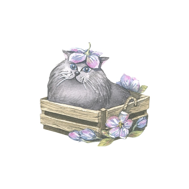 Ilustración acuarela de un lindo gato gris en una caja de madera con flores