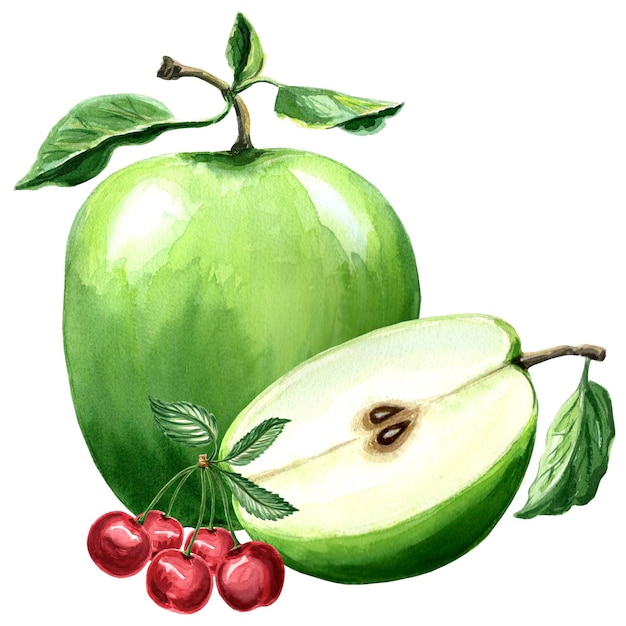 Ilustración acuarela de manzana verde y cereza Ilustración acuarela dibujada a mano JPEG