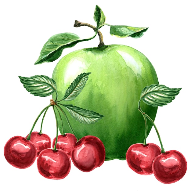 Ilustración acuarela de manzana verde y cereza Ilustración dibujada a mano JPEG