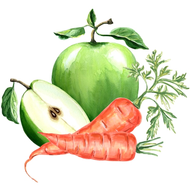 Ilustración acuarela de manzana verde y zanahoria Ilustración acuarela dibujada a mano JPEG