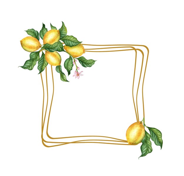 Ilustración en acuarela de un marco cuadrado de limones amarillos y jugosos maduros, flores y brotes, borde tropical aislado en fondo blanco, comida deliciosa para carteles de fondo de tela de impresión de diseño.