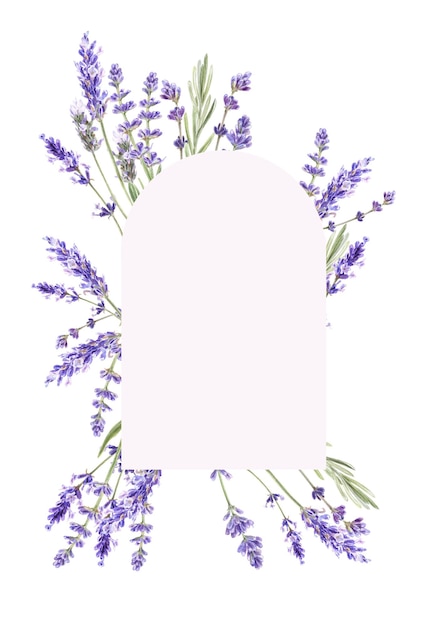 Ilustración acuarela de marco floral lavanda Ilustración de Provenza aislado en blanco Hola verano