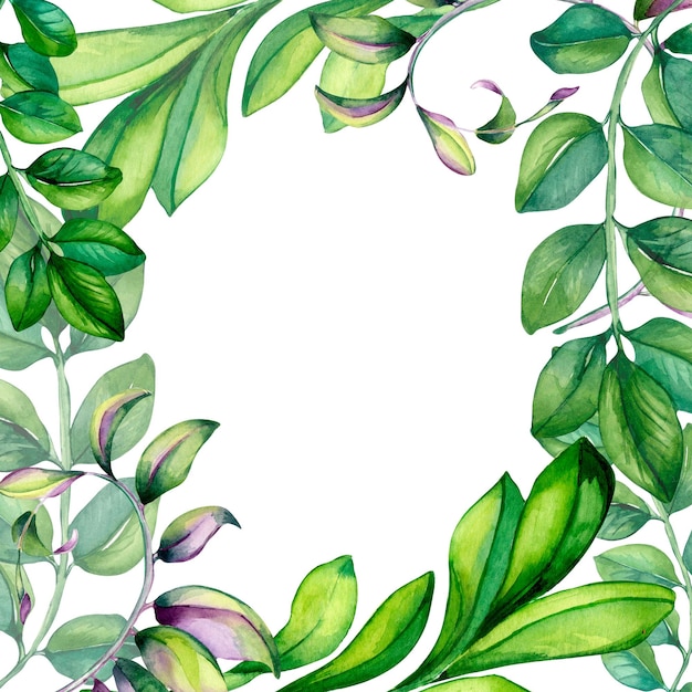 Ilustración de acuarela de marco floral de rama doblada en blanco