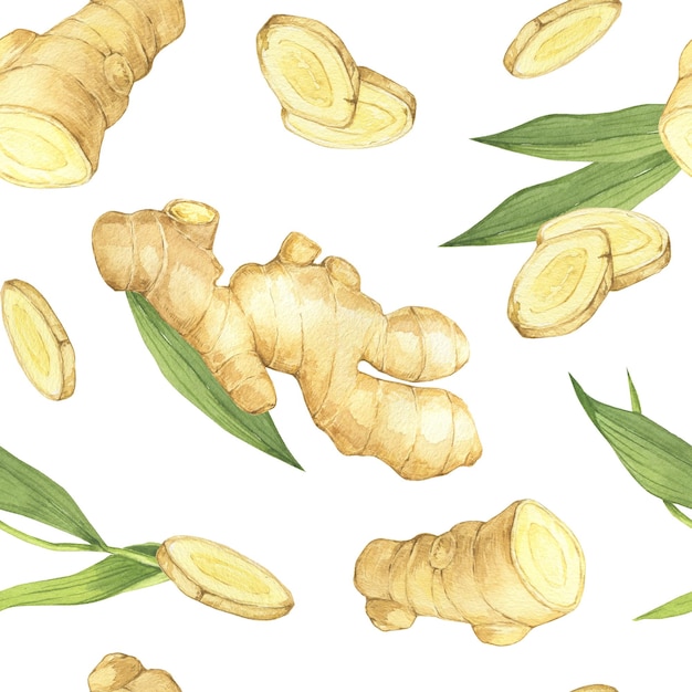 Ilustración en acuarela de media hoja de jengibre de especias y rebanadas con un patrón sin costuras