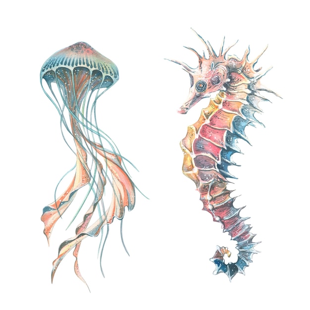 Ilustración acuarela de medusas y caballitos de mar aislado