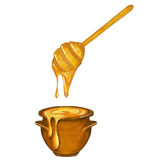 Ilustración acuarela de una olla de miel y una cuchara de miel de madera aislada sobre un fondo blanco