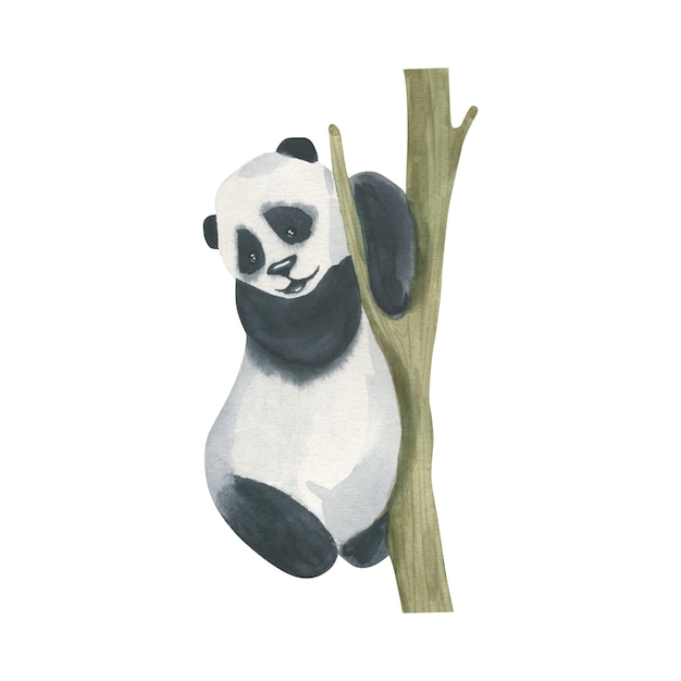 Ilustración acuarela de un oso panda arrastrándose sobre un árbol