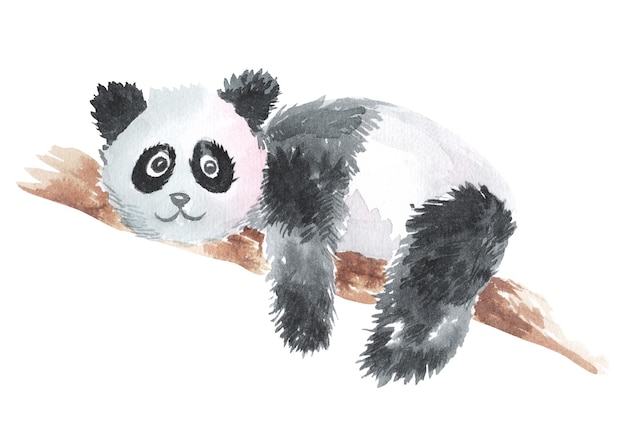Ilustración acuarela panda aislada sobre fondo blanco