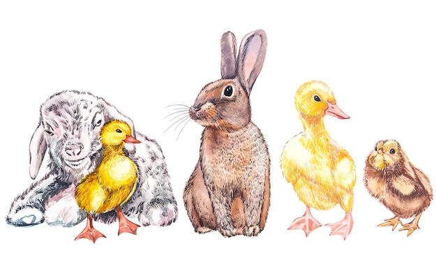 Ilustración acuarela de patito, cabra, pollito lindo y conejo