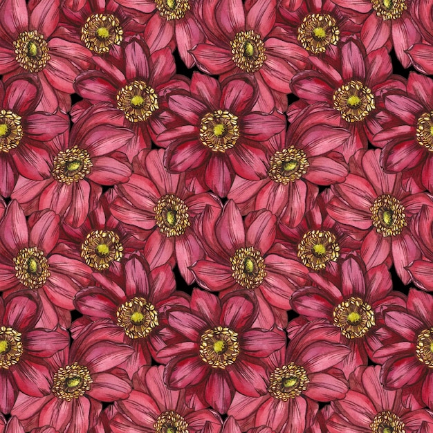 Ilustración de acuarela de patrones sin fisuras con flores de anémonas de flores rosas ricas