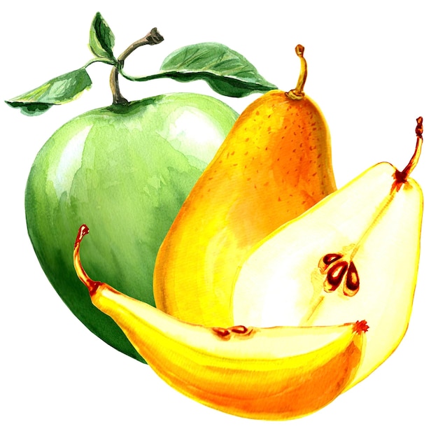 Ilustración acuarela de pera amarilla y manzana verde Ilustración acuarela dibujada a mano JPEG