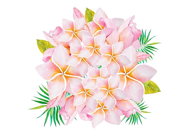 Ilustración acuarela de un ramo de flores de plumeria flores de plumeria