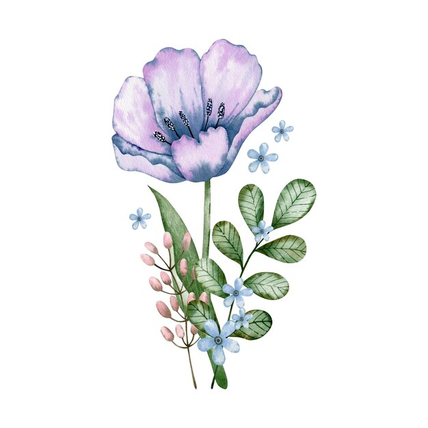 Ilustración acuarela de ramo de flores de tulipán.