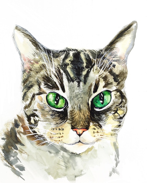 Ilustración de acuarela de retrato de gato Pintura de mascotas aislada en el fondo