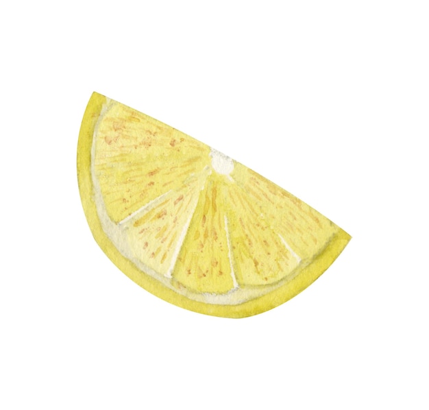 Ilustración acuarela de rodaja de limón aislado sobre fondo blanco