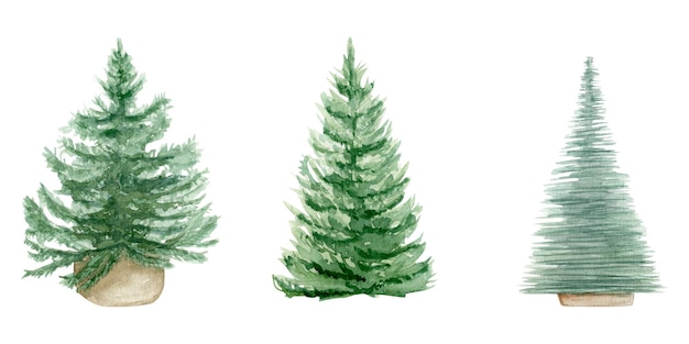 Ilustración de acuarela con tres árboles de Navidad sobre un fondo blanco dibujado a mano