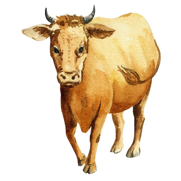 Ilustración acuarela de vaca dibujada a mano boceto jengibre granja animal mascota vaca acostada sobre un centrico blanco