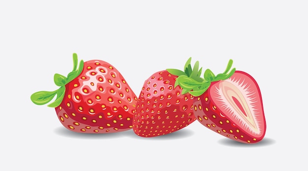 Ilustración aislada del vector EPS de frutas de fresa