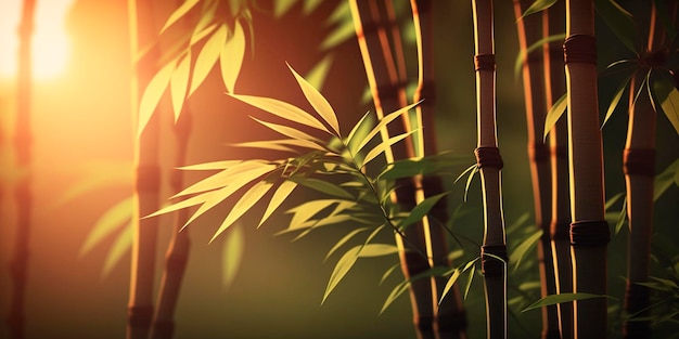Ilustración de Bamboo en Sunlight Spa Relax Contenido generado por IA